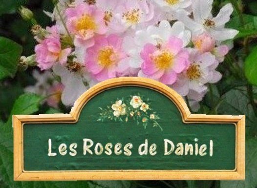 Il est déjà 08h08 de ce 25 juin 2024