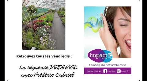 Séquence "Jardinage" de ce vendredi 04 octobre 2024 avec Frédéric Gabriel  Pépinières Frédéric Gabriel
